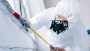 Best Pest Prevention Services  in Plandome, NY